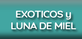 EXOTICO